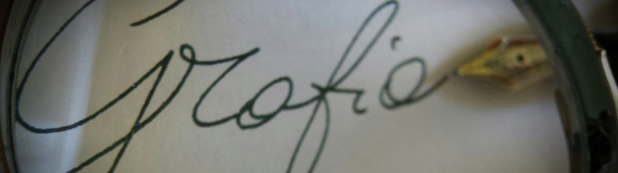 Studio Silvia Passerini Attività